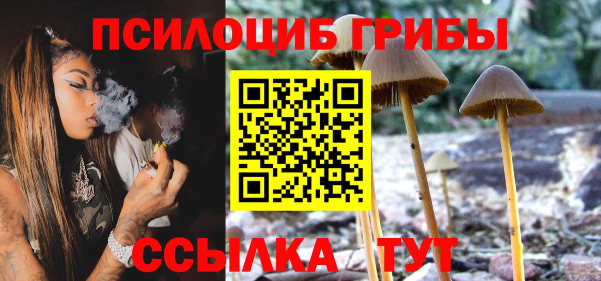 Арсеньев  Галлюциногенные грибы Cubensis  Вход с VPN 
